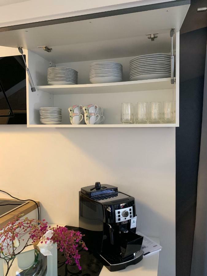 Luxus Appartement Bruehlervorstadt Erfurt Zewnętrze zdjęcie